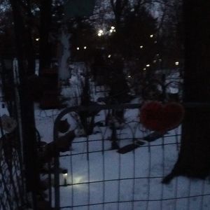 Meet your Posher, Snoot